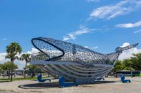 [旅遊景點]20190628-大魚的祝福《台南安平》